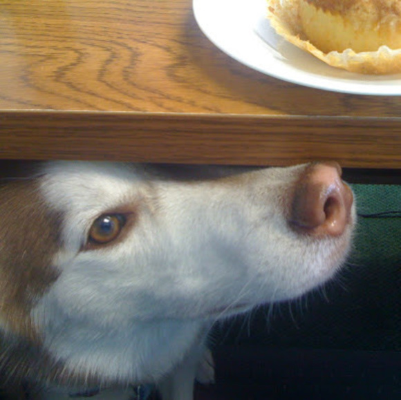 Meet your Posher, Eleanor - Picture 1 of 1